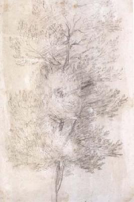 Claude Lorrain A Tree Trunks (mk17) France oil painting art